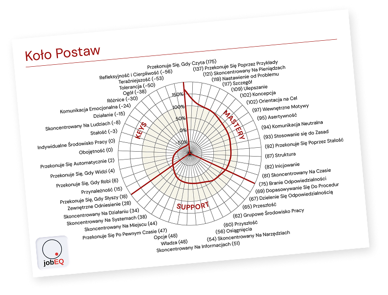 Diagram 48 metaprogramów iWAM w 16 kategoriach